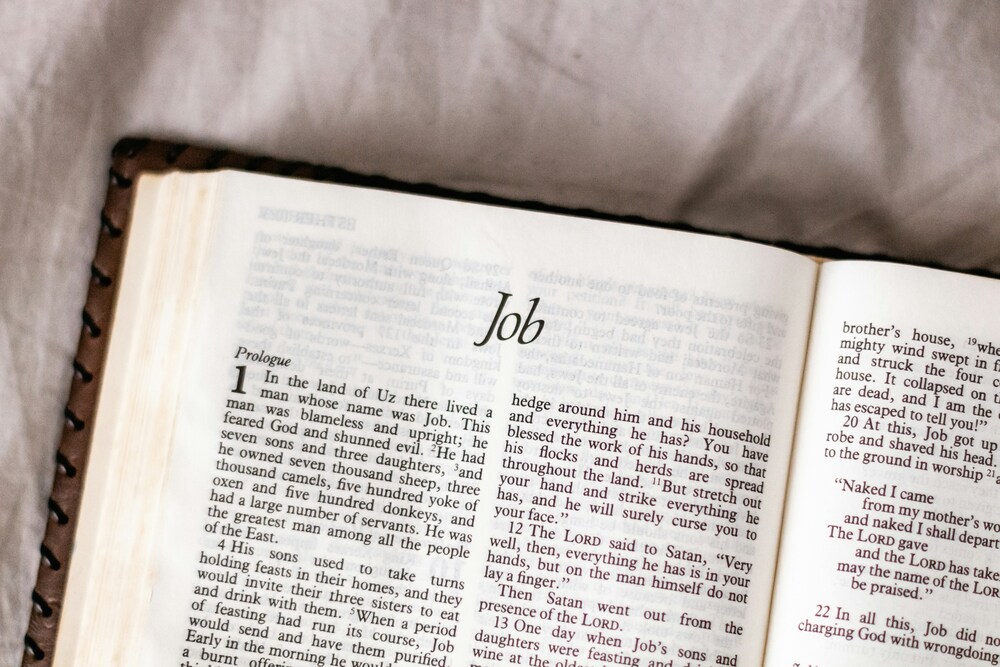 Job